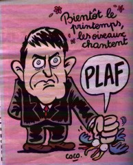 Valls_coco.jpeg