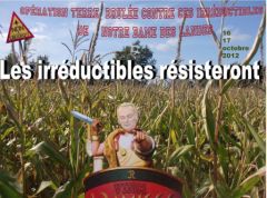 Herault_attaque.jpg