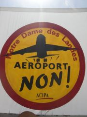 CIMG1261.JPG