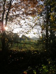 CIMG0190.JPG